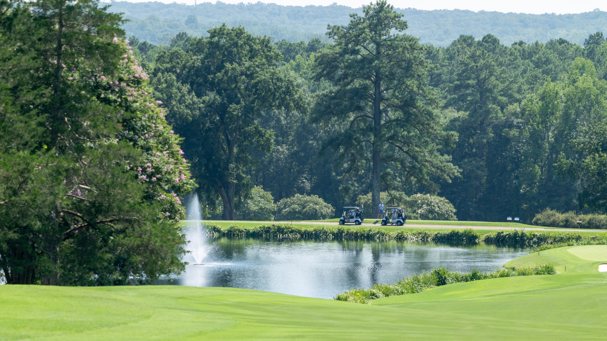 Two golf carts on a green lawn near a pond with a fountain and lush trees.