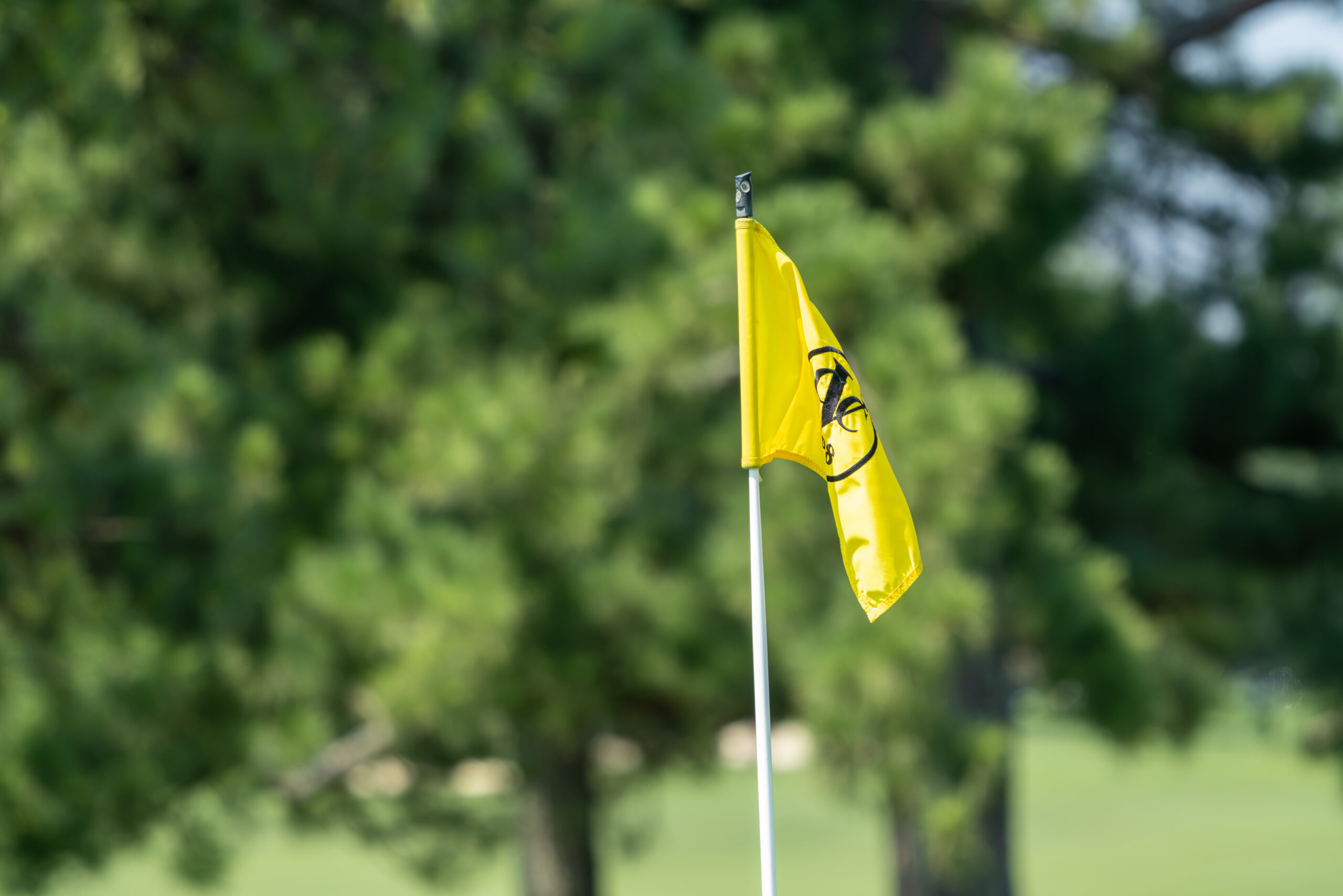 A yellow flag with a black CCVA logo sits on a white pole atop a golf green.