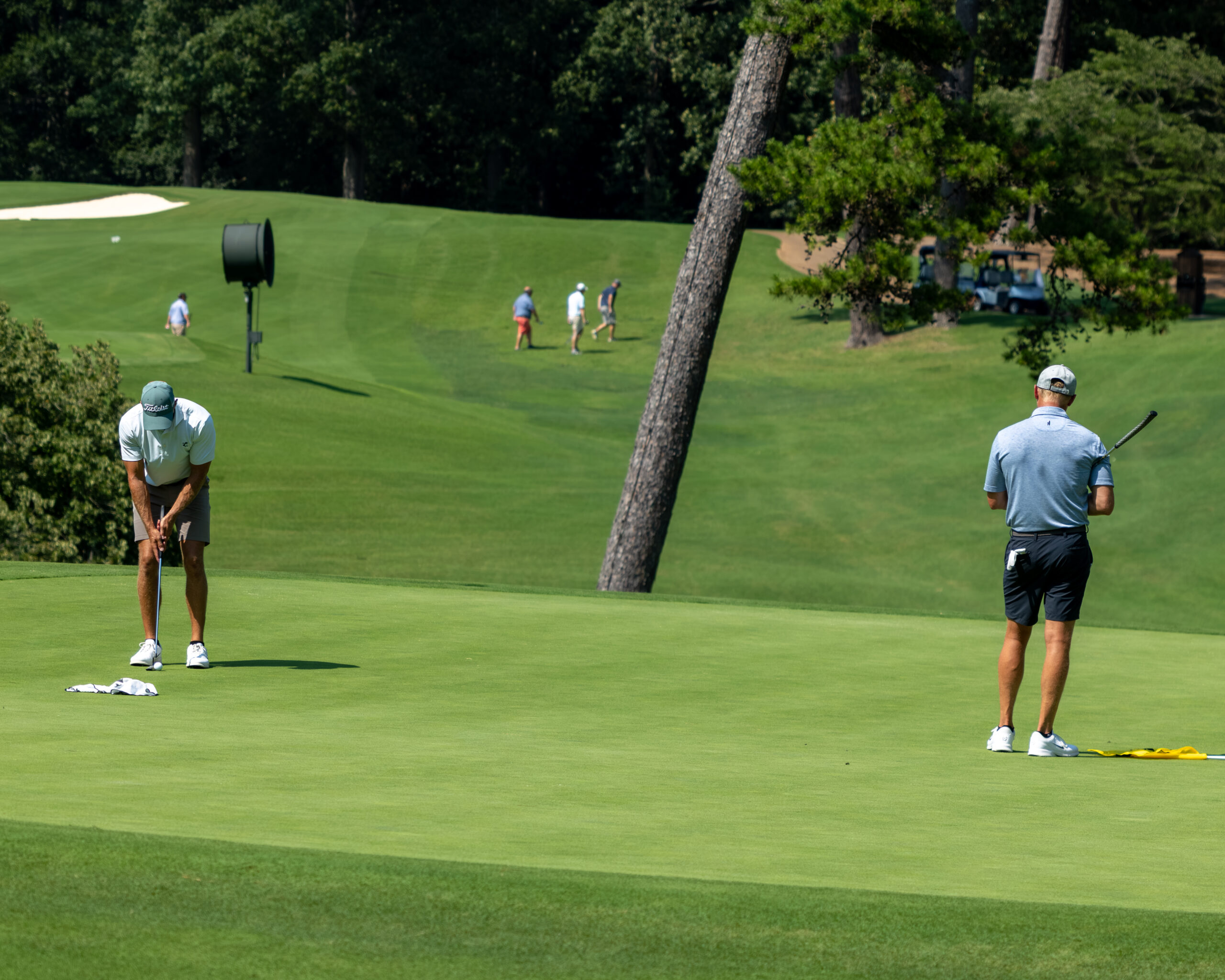 Two golfers on a green putting field near a tree and other players in the background.