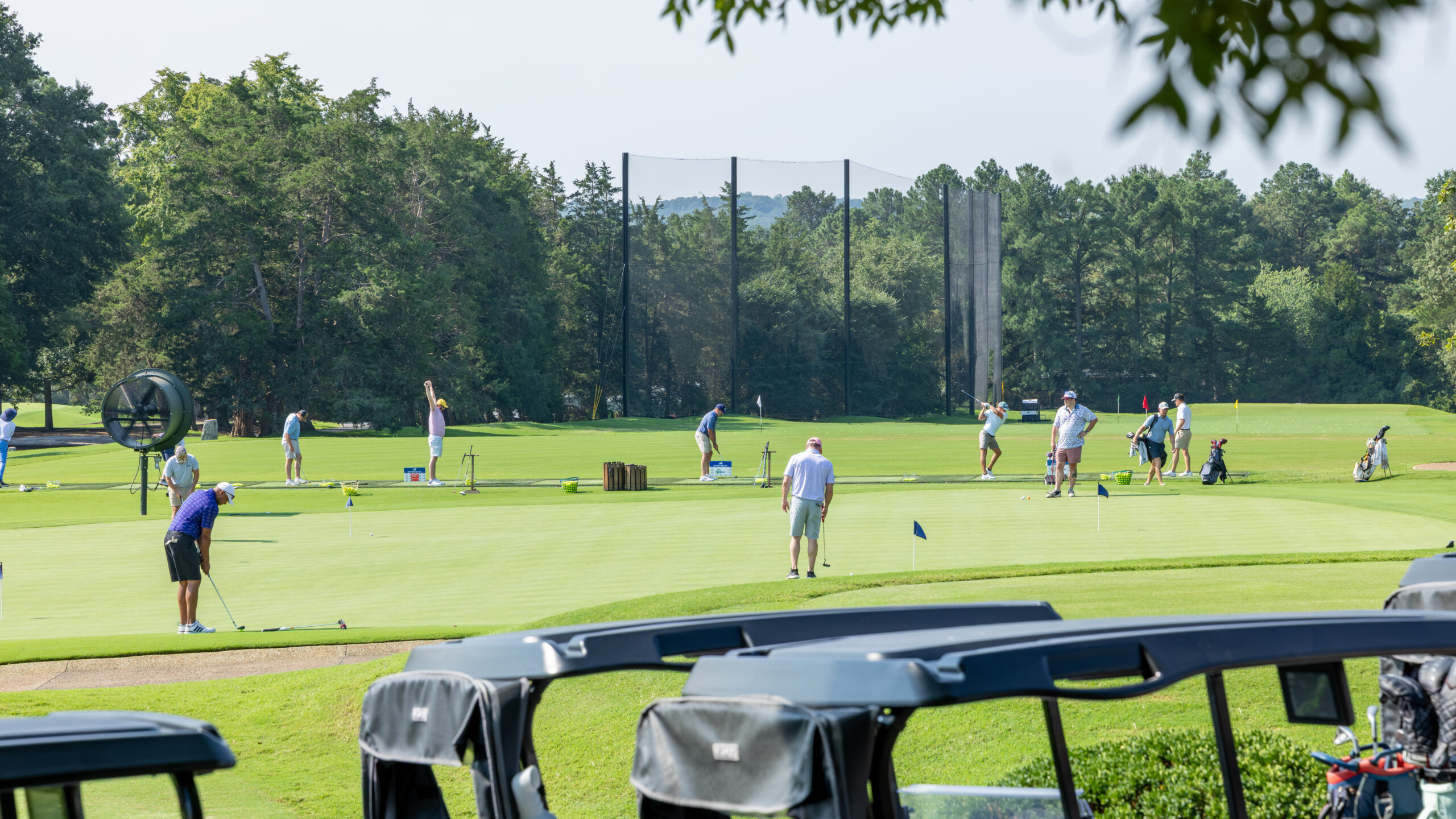 Golfers practicing on a putting green with golf carts parked in the foreground.