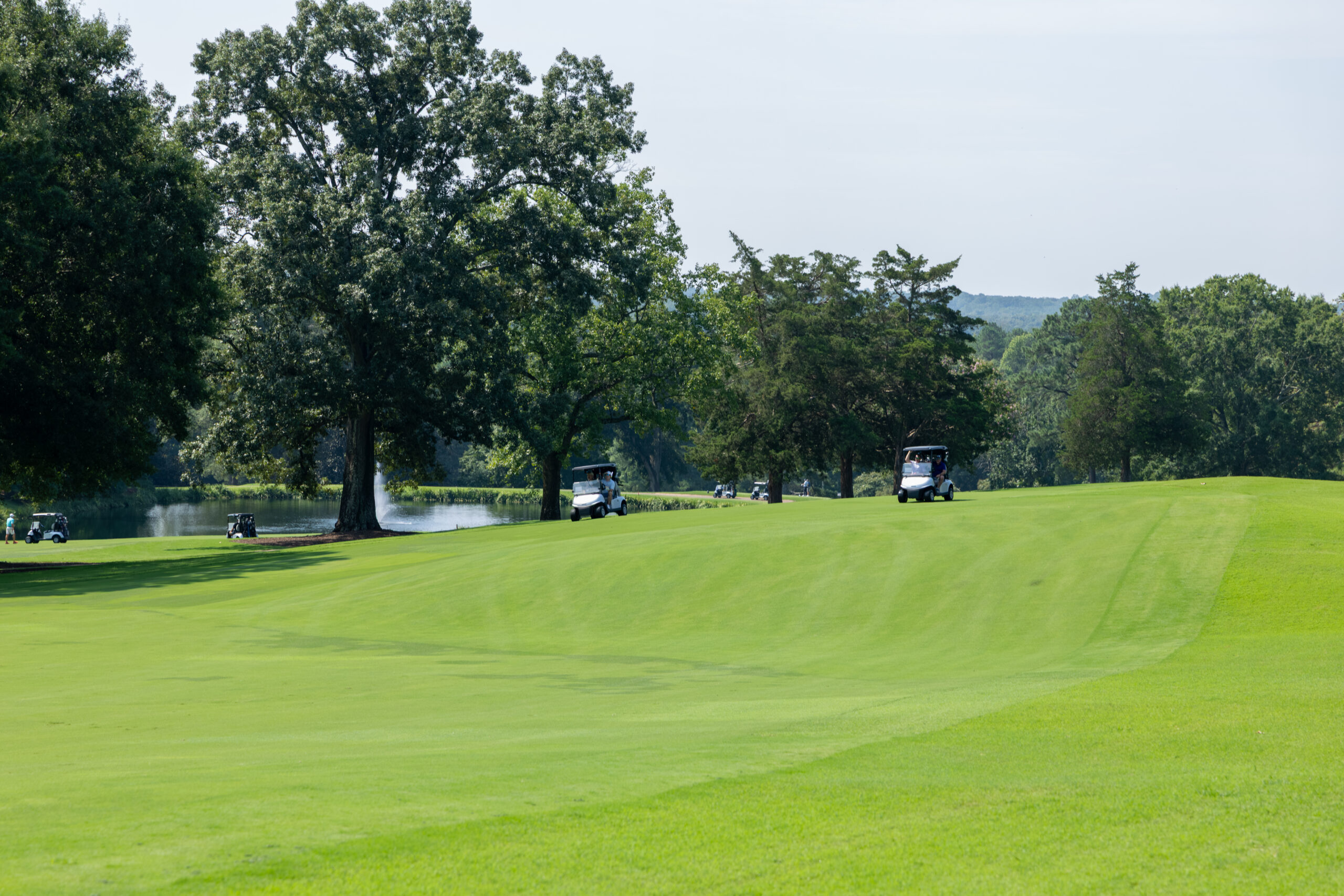 Golf carts on a green lawn near a lake and large trees during a tournament.