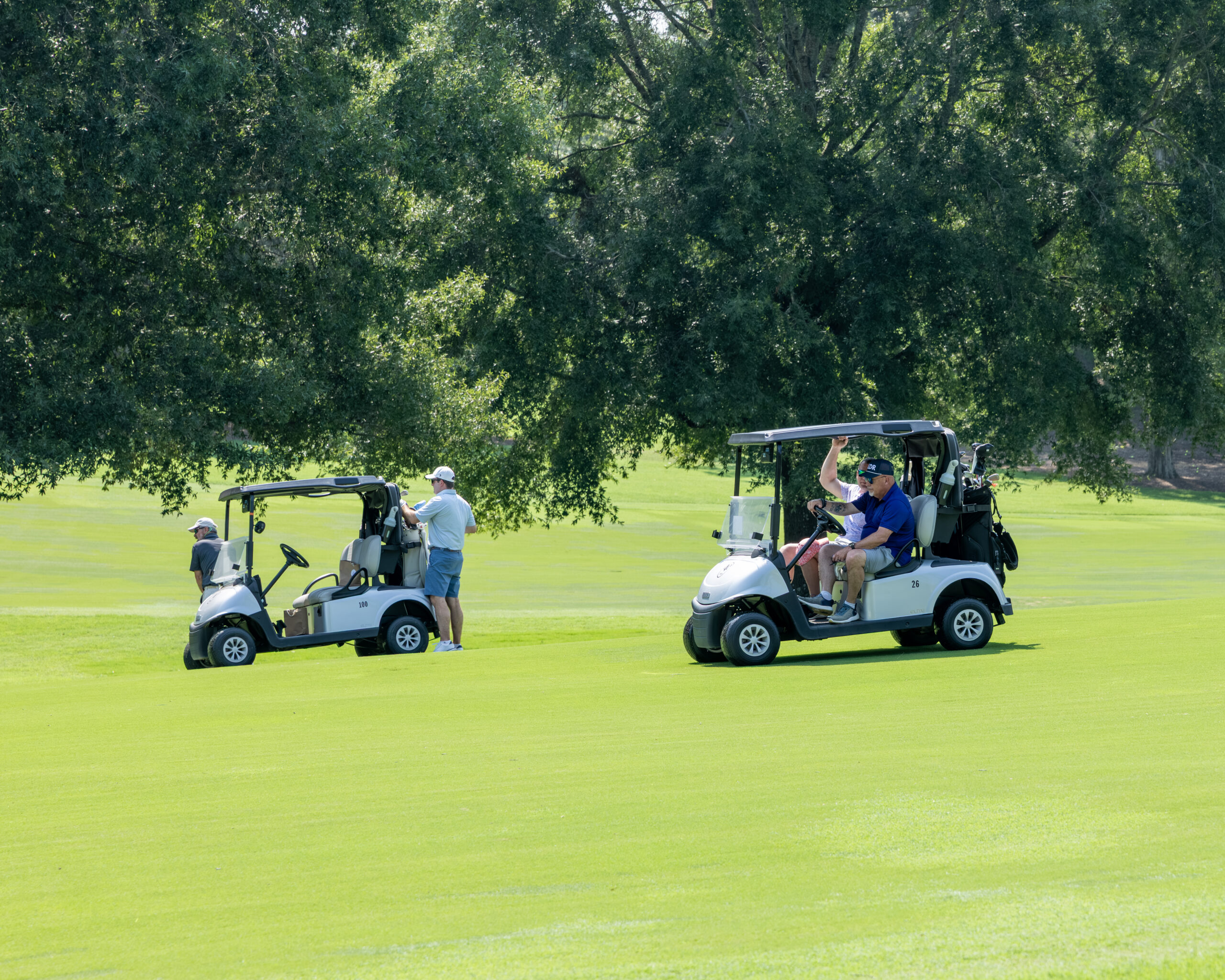 Two golf carts with four men on a green field under large oak trees.