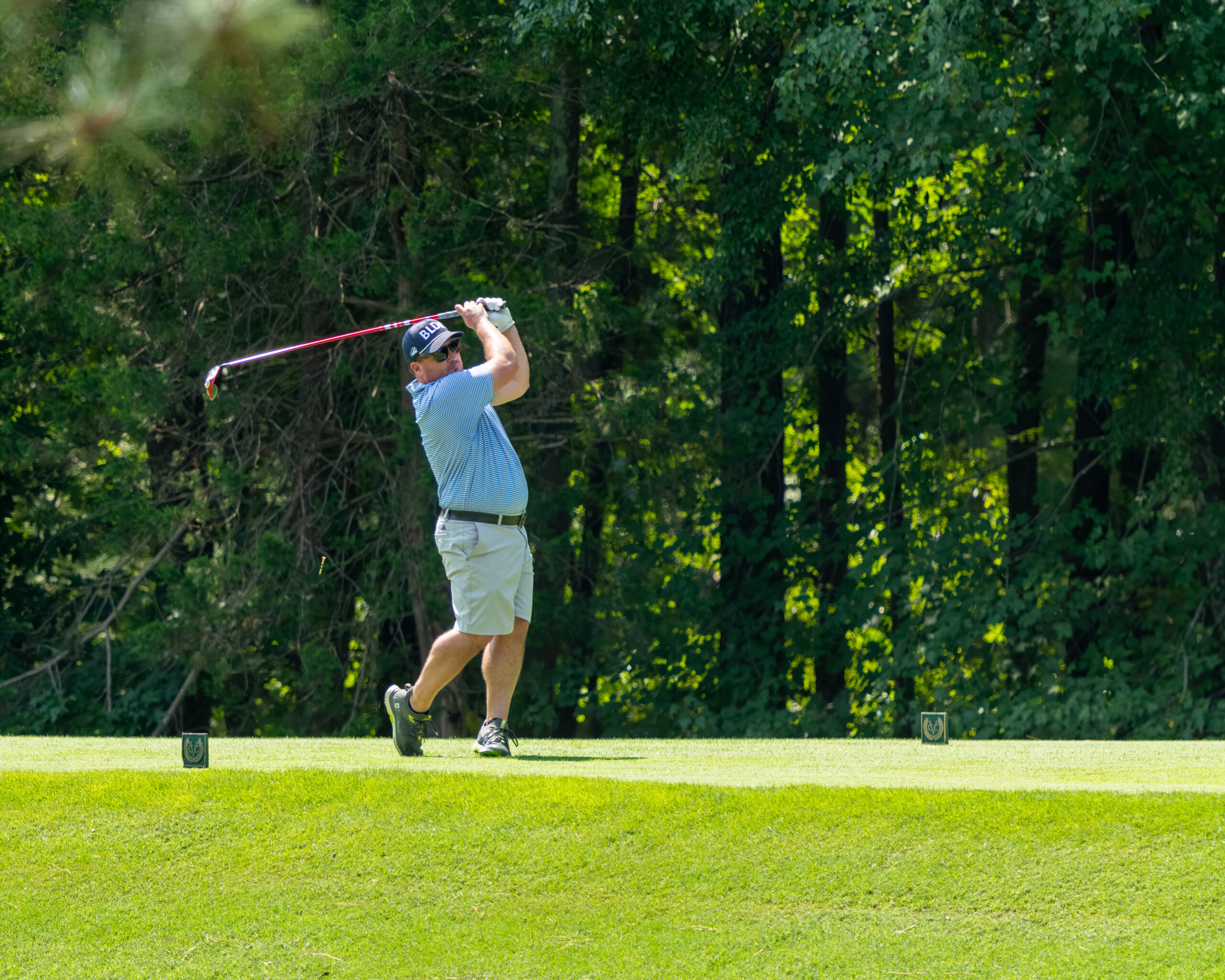 A male golfer in a striped shirt and white shorts is following through after a swing.